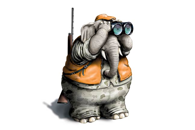 best-candidate-for-president
