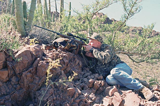 Whitetail Hunts