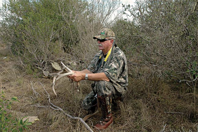 Whitetail Hunts