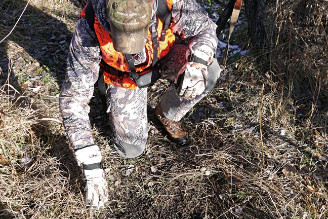 Whitetail Hunts
