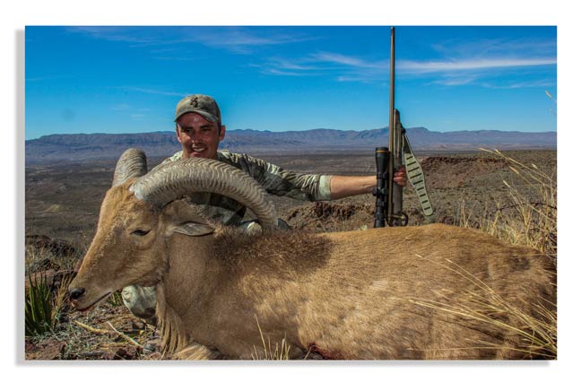 hunting-exotics-in-texas