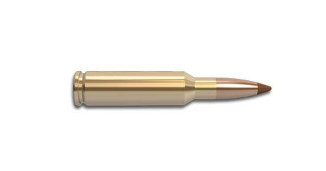 Nosler-6.5-Creedmoor-Ballistic-Tip-for-hunting