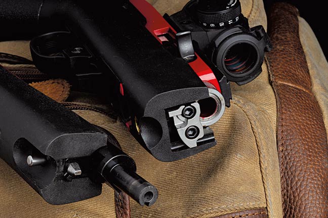 review-ruger-1022-takedown-lite-rifle