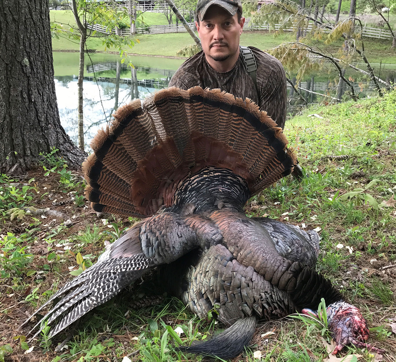 Late-Season-Tom-Turkeys-tips--3