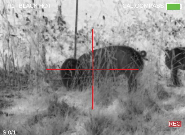 FLIR-Thermosight-Thermal-Hog