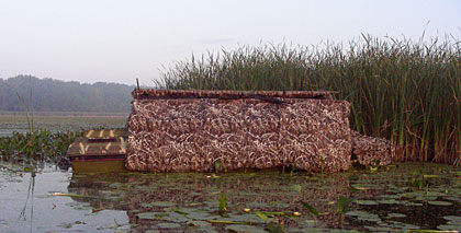 Duck Boat