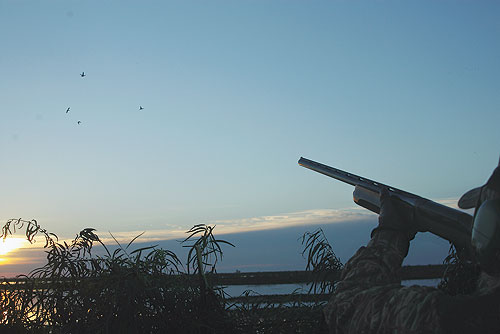 Comparing Gun Types For Waterfowling