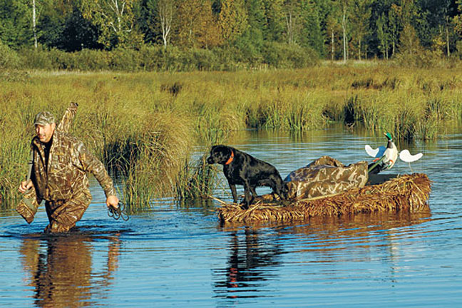 Traveling_with_your_hunting_dog