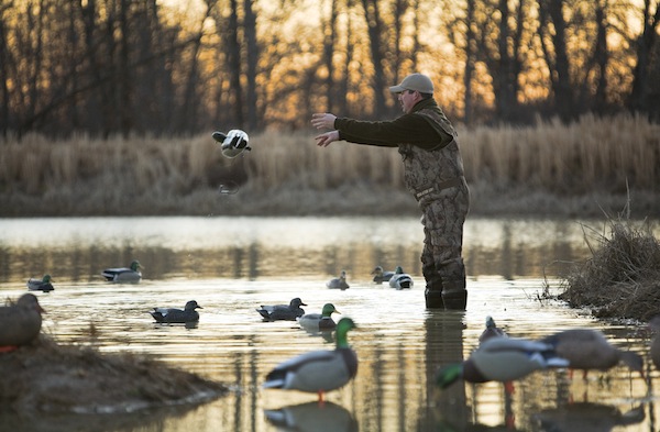 DuckSpread5
