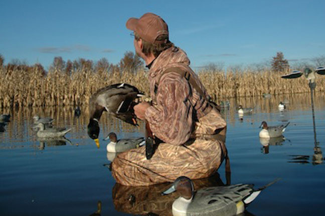 Using Small Decoy Spreads