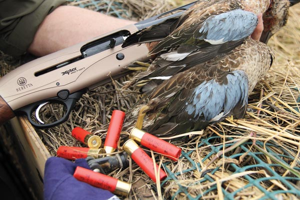 early_season_teal_2