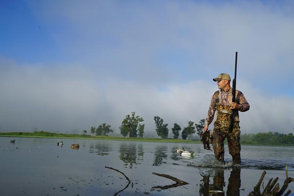 early_season_teal_f
