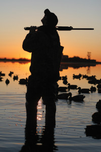 Hunting_land_for_sale_4