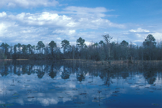Habitat scouting for wildfowl hunting