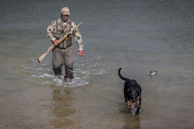 Using a GPS E-collar