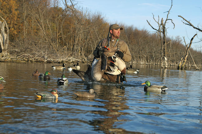 Tips on decoying ducks