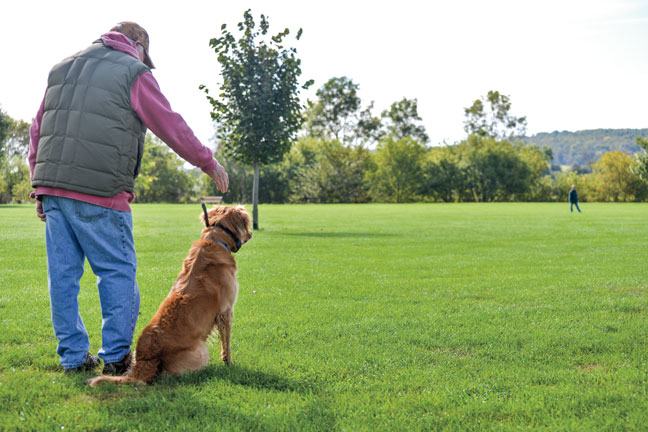 Having Fun with Dog Training Drills