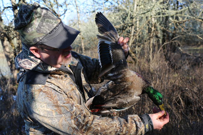 Best Mallard Hunting Destinations
