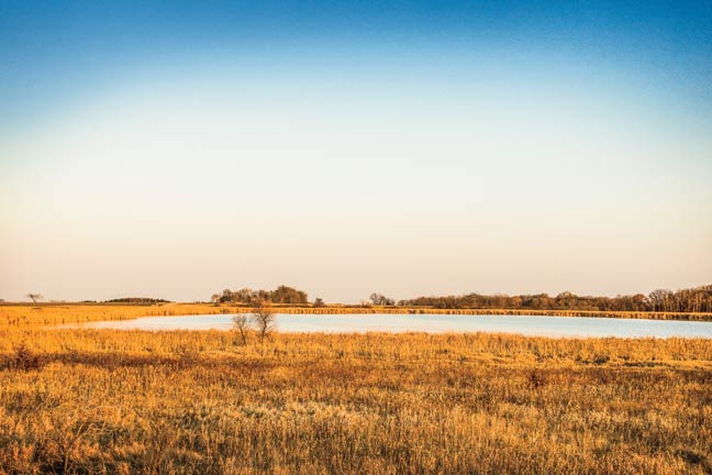 public-lands-for-waterfowl-access