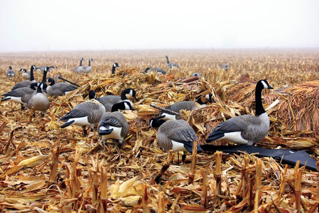 small-decoy-spreads-work