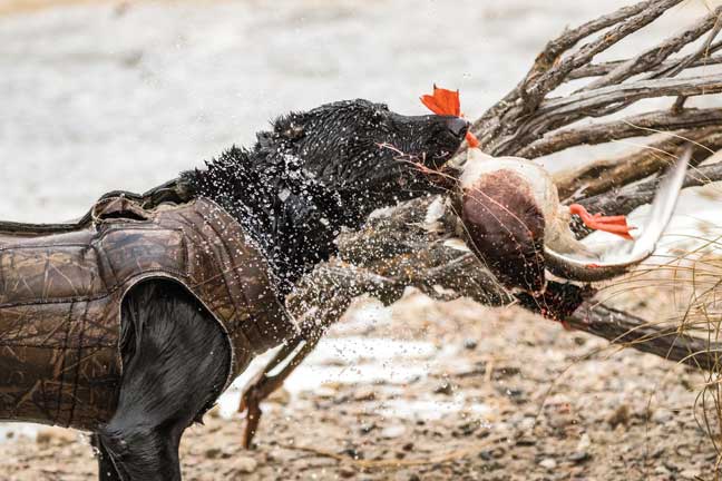 borntohunt_5