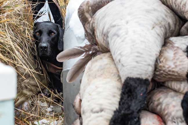 borntohunt_9