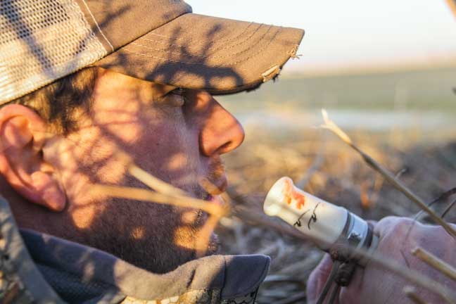 motion_decoys_14