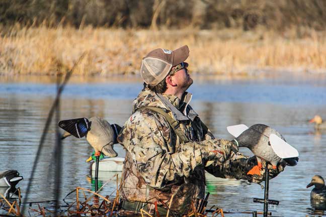 motion_decoys_20