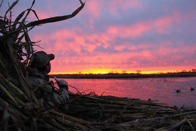 motion_decoys_32