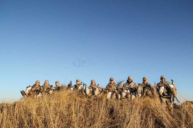 motion_decoys_5