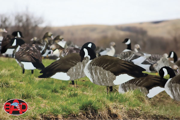 8.-Bigalsdecoys-WIFP-170900-GU-009
