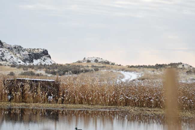 Scablands3