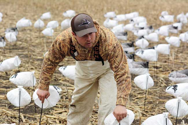 SnowGeese2