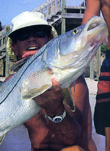 Snook Fishing Tampa Bay- MirrOLure Catch 2000- How To 