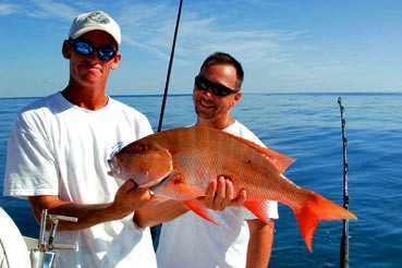 Mutton Snapper Everywhere
