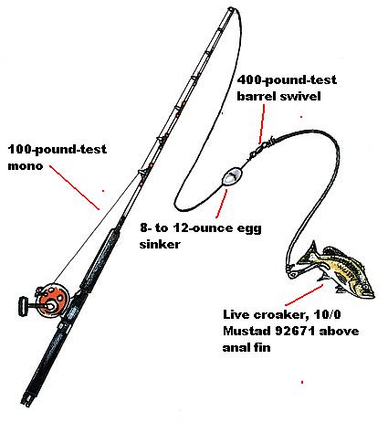 HOW TO TIE A BOTTOM RIG FOR DEEP SEA FISHING AND