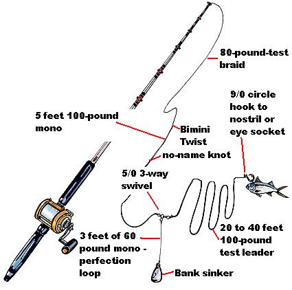 Best Bottom Fishing Rigs and Tips