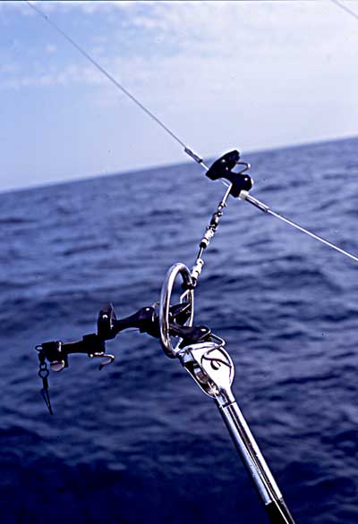 Penn Kite rod and reel set