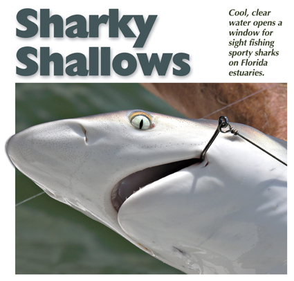 Stainless Steel Fishing Hooks Rigs, Shark Fishing, Shark Rig