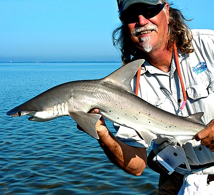 Shark Fishing in Florida Shallow Water - Florida Sportsman