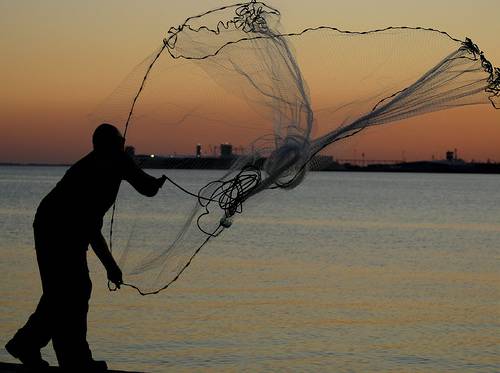 Give your Cast Net Some TLC and Catch More Bait - Florida Sportsman