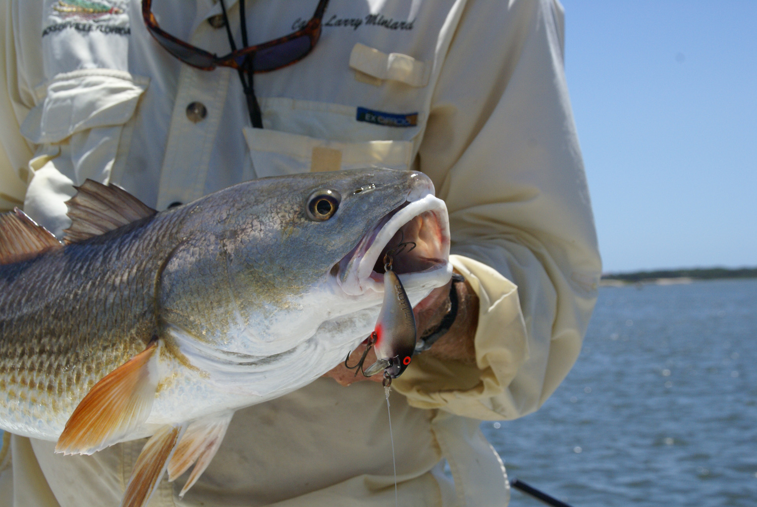 Fishing Gear - Baits & Tackle Page 9 - Florida Sportsman
