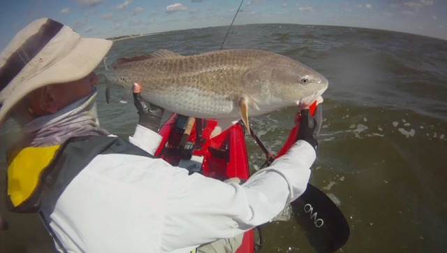Bull Redfishing in Windy Conditions 