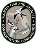 Careers and Colleges in the Florida Outdoors