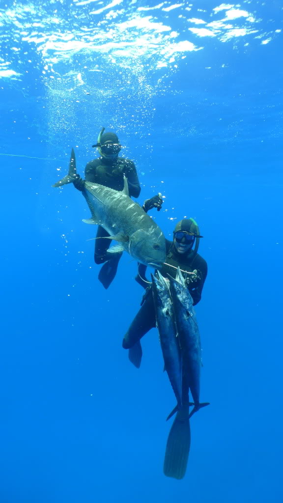 Pelagic Spearfishing, Worldwide - Florida Sportsman