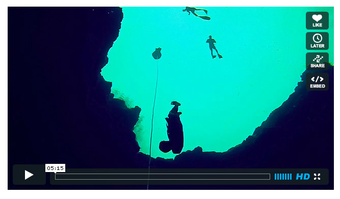 Footage of Freediving Florida Springs