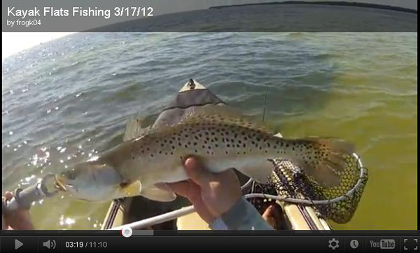 Topwater Seatrout Fishing 