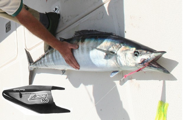 Saltwater Trolling Tips for Less Experienced Fishermen 
