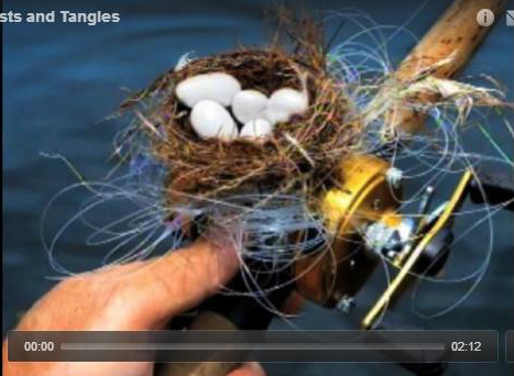 Line Disposal: Bird's Nest and Tangles 
