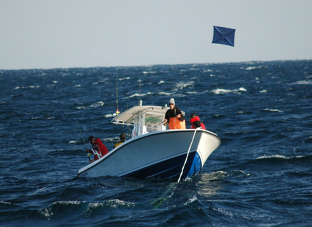 Save That Kite! - Florida Sportsman